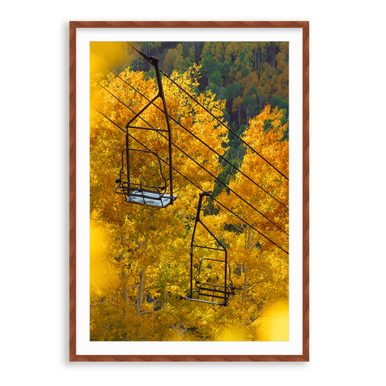 Thaynes Chair Fall Glory