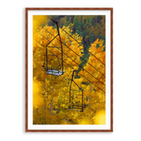 Thaynes Chair Fall Glory