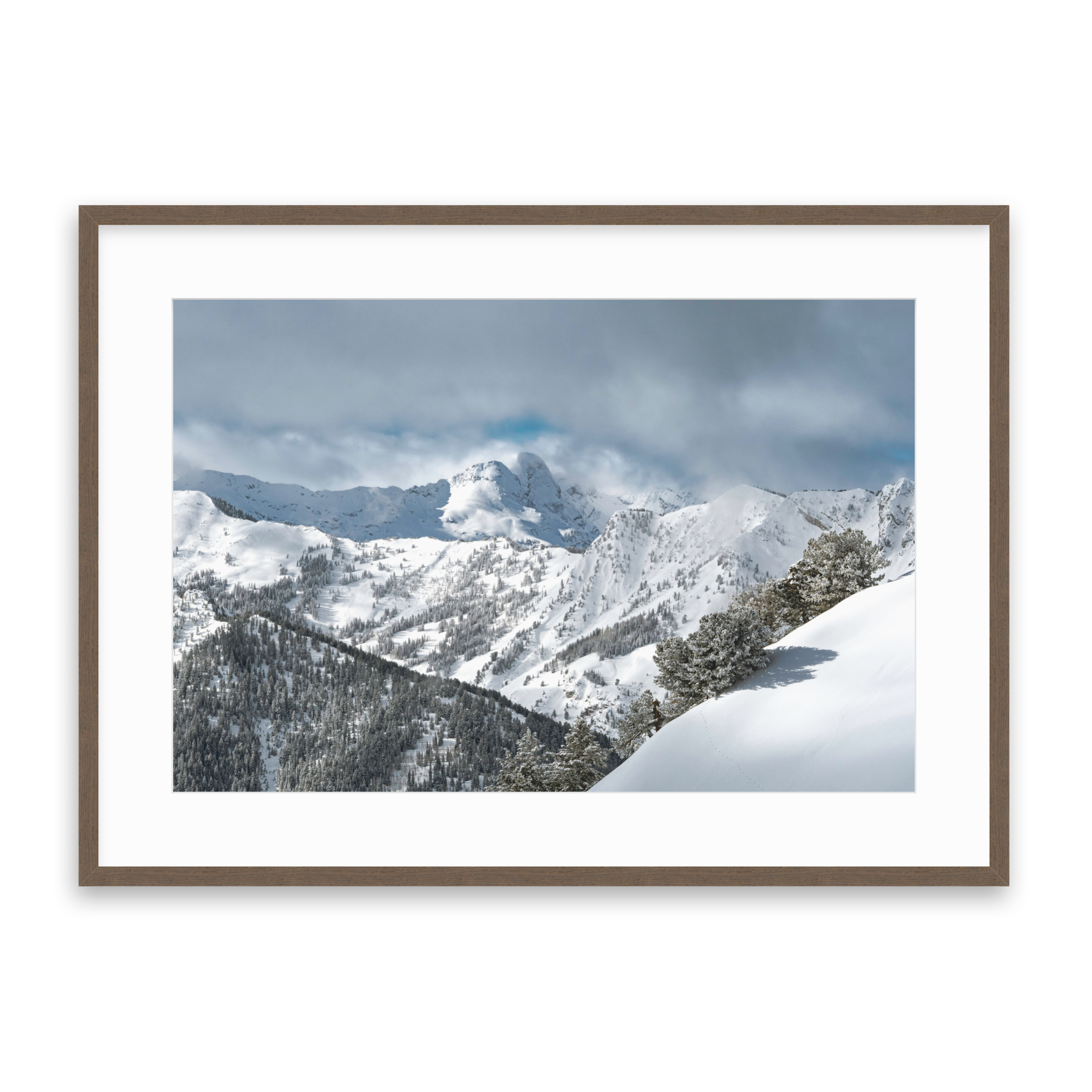 Dromedary Peak Fine Art Print